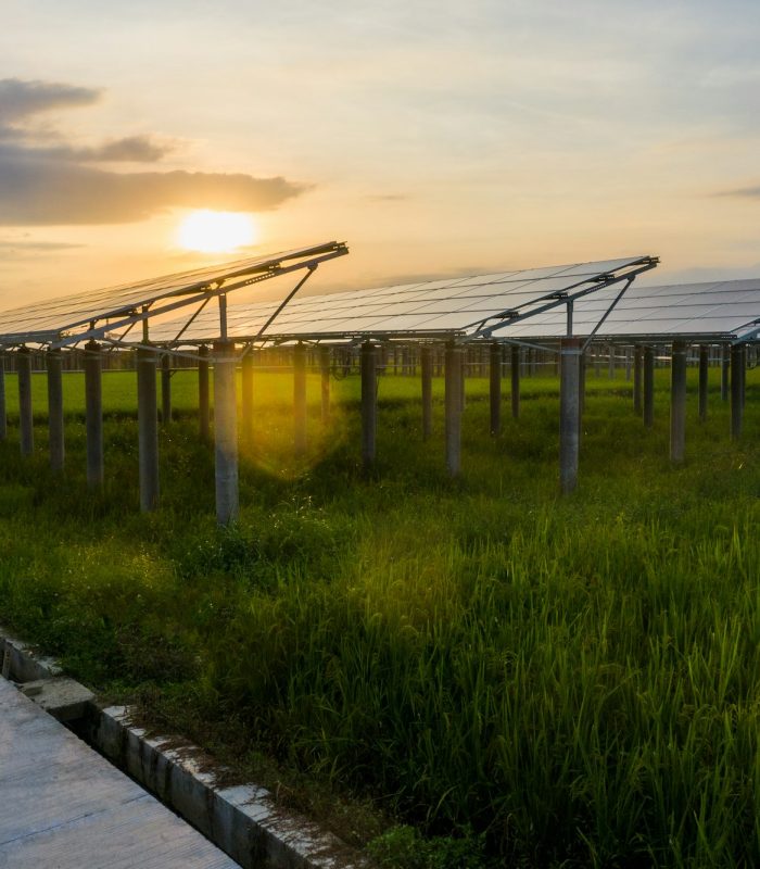 Roads and solar panels